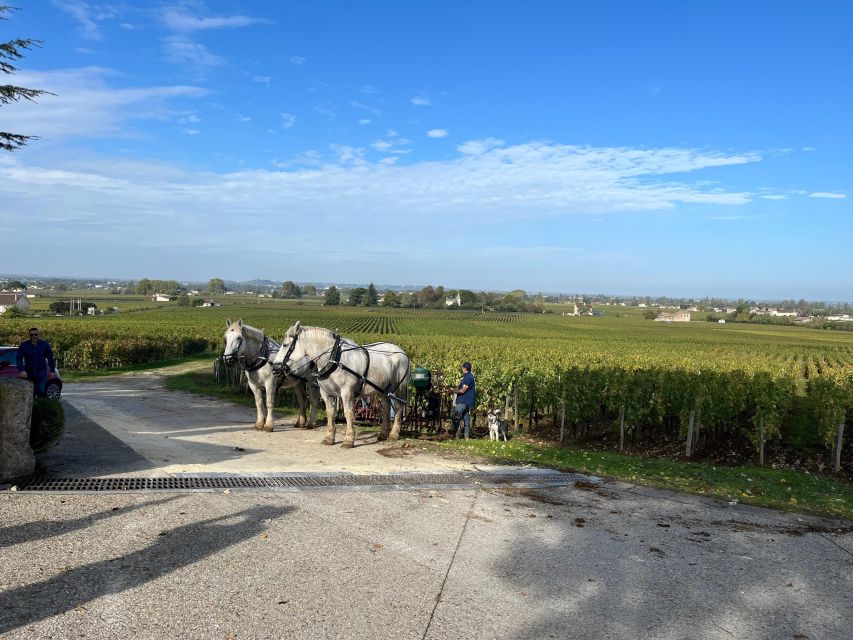 Bordeaux: Saint-Émilion Wine Tour in a Small Group - Itinerary and Starting Location