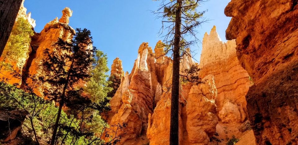Bryce Canyon National Park Hiking Experience - Common questions