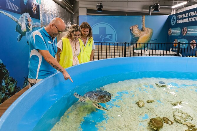 Cairns Aquarium General Admission and Turtle Hospital Tour - How to Book and Visit