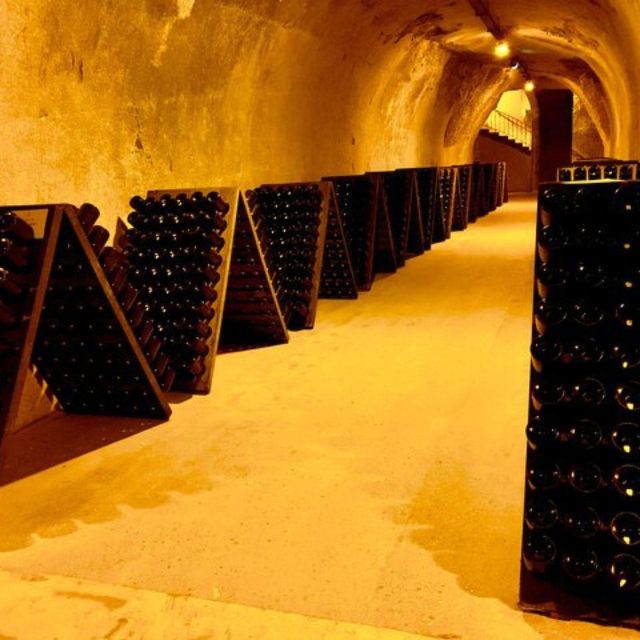 Champagne Region From Paris: Reims and Champagne Tasting - Important Information