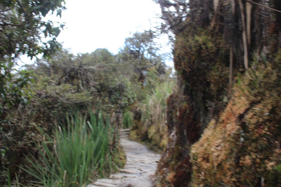 Classic Inca Trail Trek - Important Information