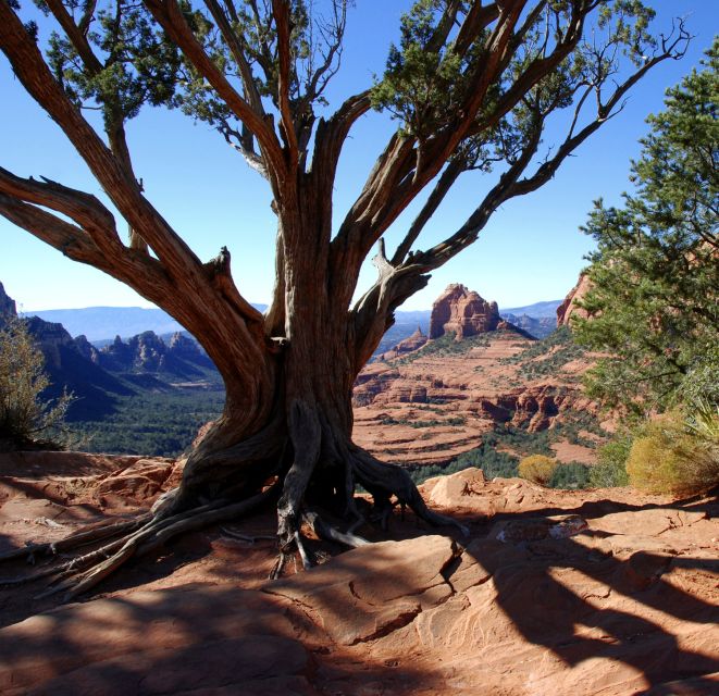 Colorado Plateau on 4x4: 2-Hour Tour From Sedona - Important Information