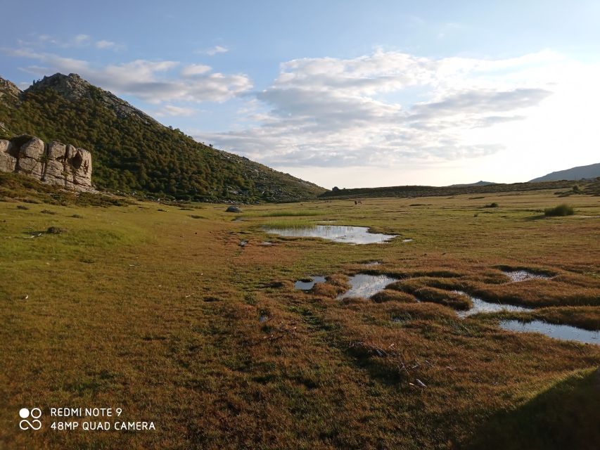 Cuscionus Plateau, 1000 Waterholesgrass : Pozzines - Directions