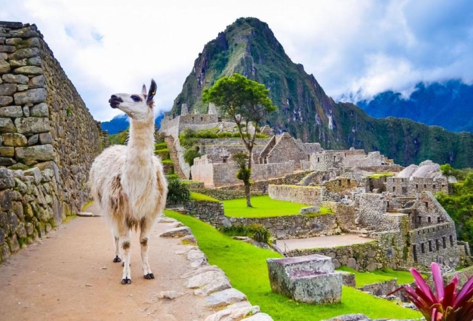 Cusco:Machupicchu Mountain of Colors Humantay Lagoon of 6 Ds - Logistics