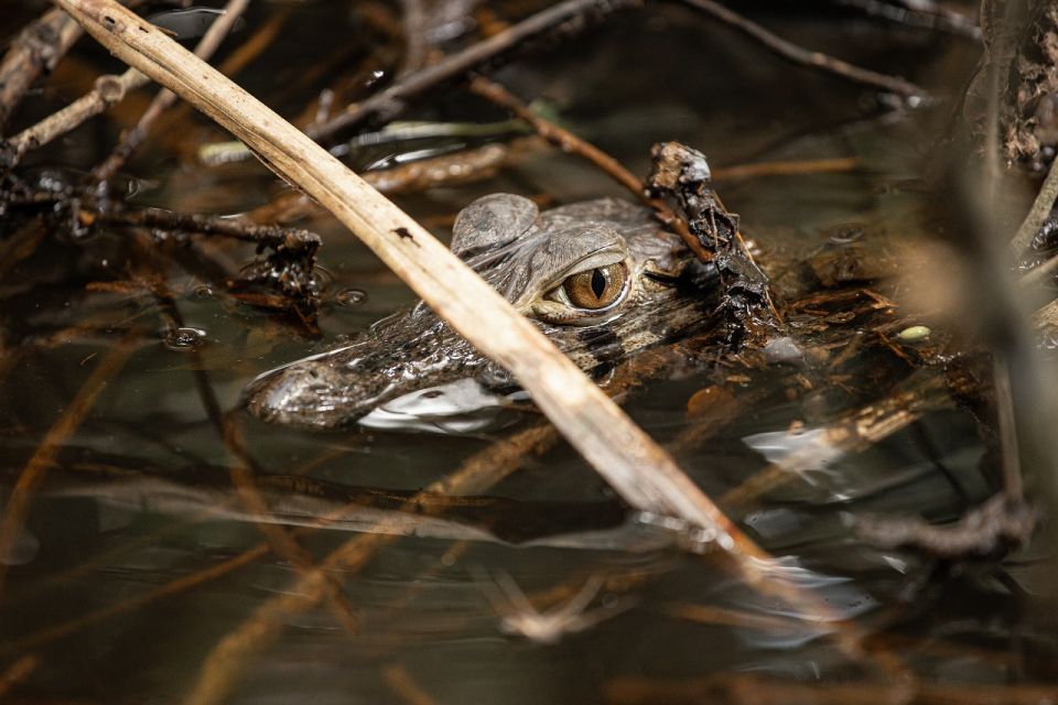 Customized Tours: Tambopata Adventure Rainforest 4d/3n - Inclusions