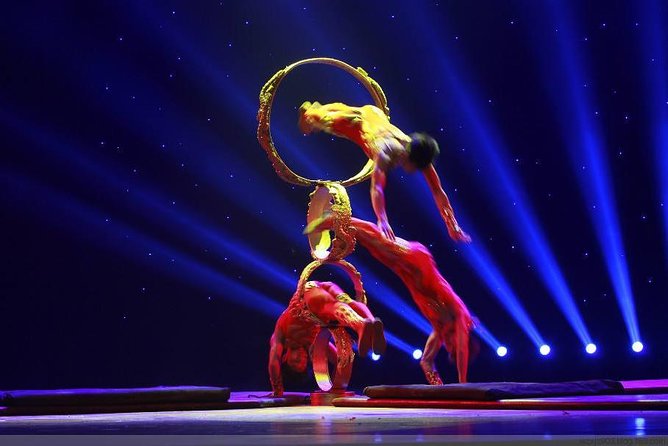 Din Tai Fung Dinner Experience and Acrobatics Show in Shanghai - Sum Up