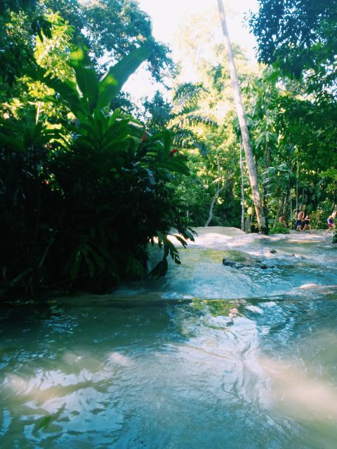 Dunns River Falls Climb and Private Transportation - Common questions