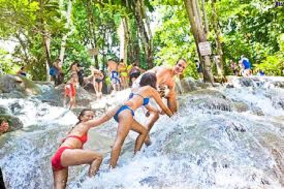 Dunns River Falls Day Tour - Tour Highlights and Itinerary