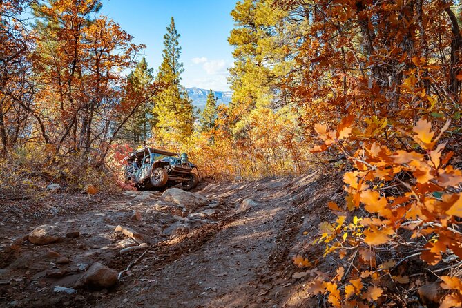 East Zion Brushy Cove Jeep Tour - Important Information