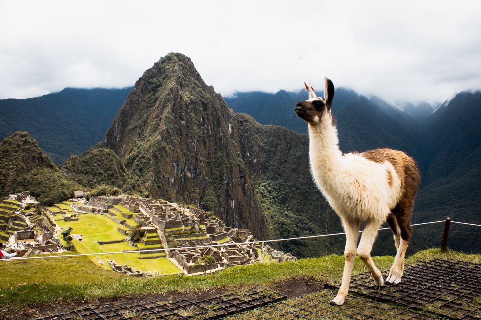 Excursion to Machupicchu Full Day Witch Lunch - Inclusions and Exclusions