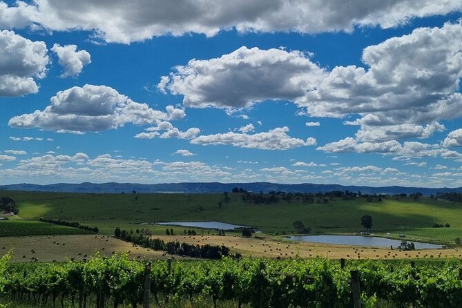Experience Yarra Valley: a Tailored Private Wine Journey - Pricing Details and Terms