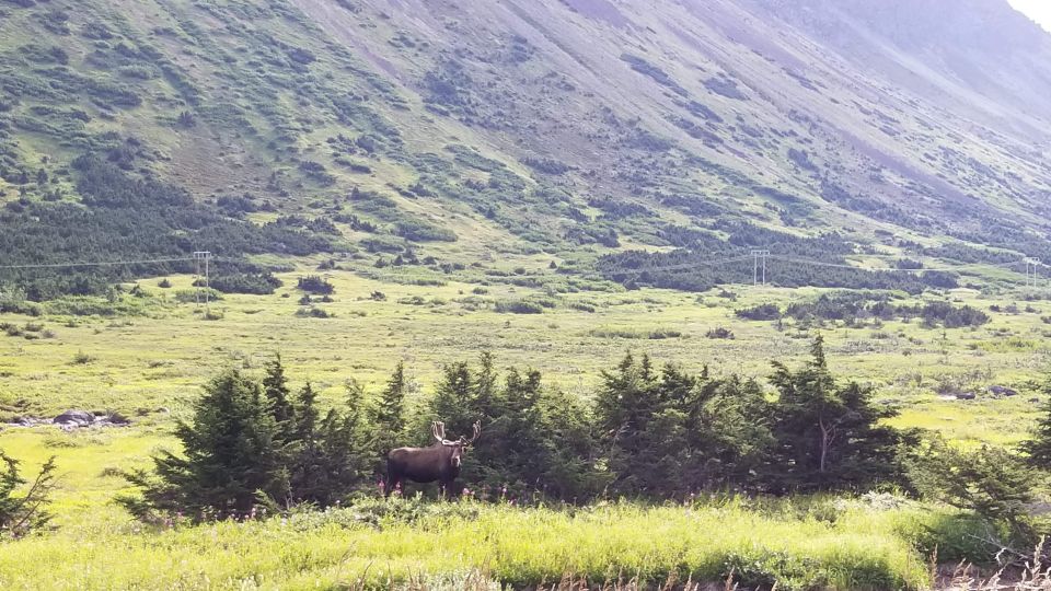 Fat Tire MTB in Chugach State Park Tour - Requirements