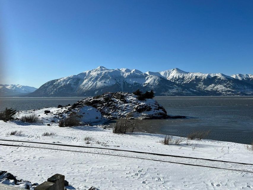 From Anchorage: Alaska Wildlife Center & Turnagain Arm Tour - Tour Experience