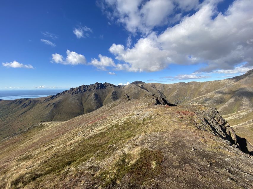 From Anchorage: Chugach State Park Guided Alpine Trek - Key Points