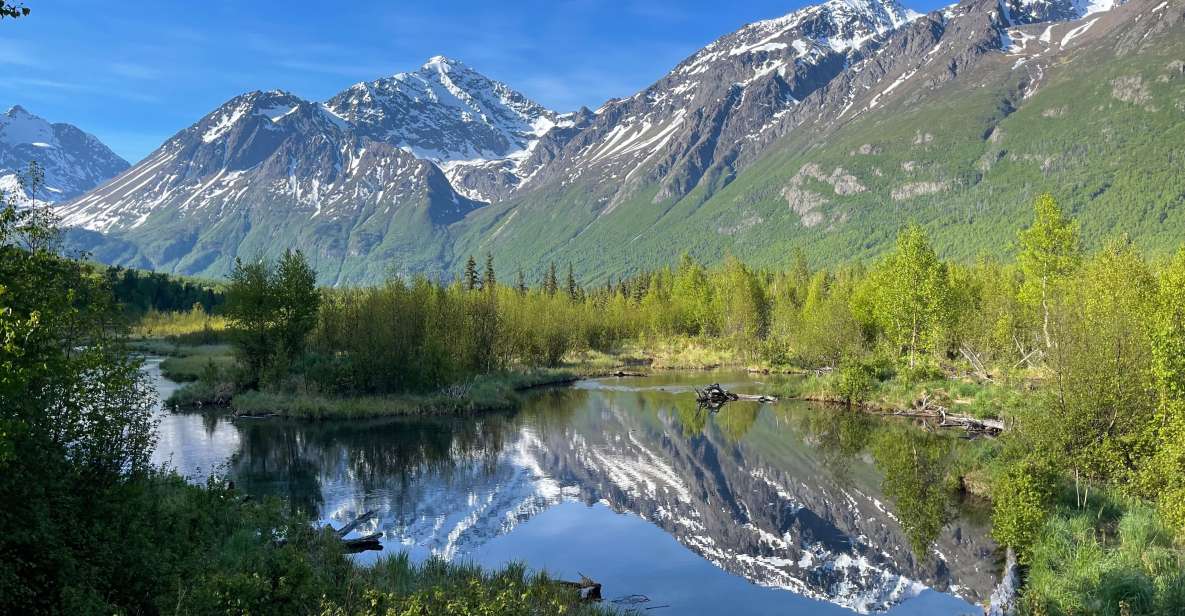 From Anchorage: Valley and Forest Hike With Naturalist Guide - Full Description