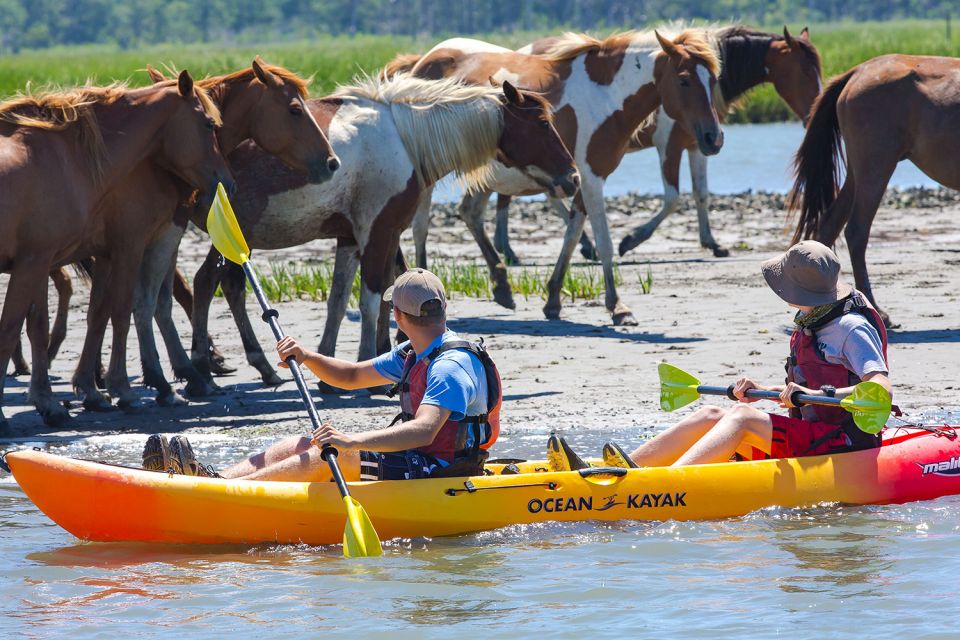 From Chincoteague: Guided Kayak Tour to Assateague Island - What to Bring