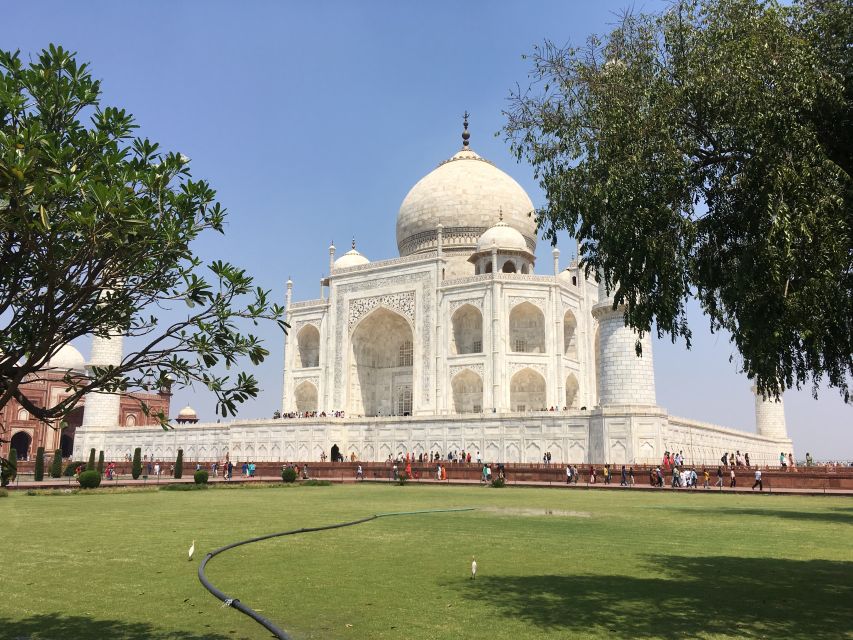 From Delhi : Private Sunrise Tour of Tajmahal - Inclusions and Highlights