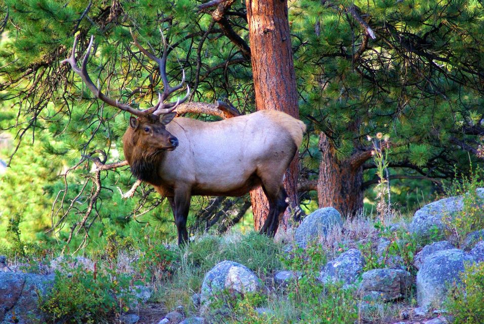 From Denver: Guided Hike in Rocky Mountain National Park - Important Information