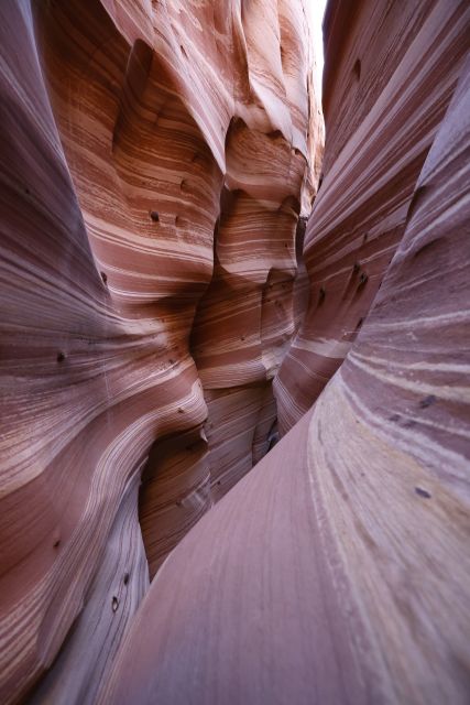 From Escalante: Zebra Slot Canyon Guided Tour and Hike - Important Information