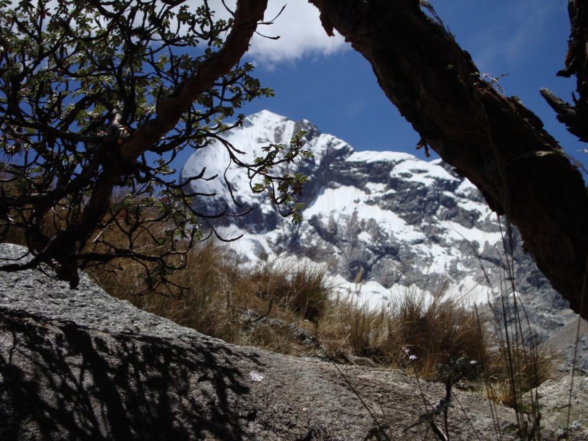 From Huaraz: Private Hike of Laguna Churup With Packed Lunch - Included Services