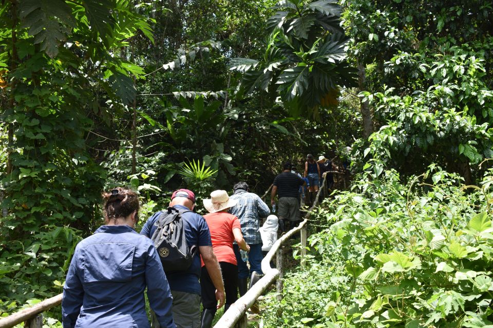 From Iquitos: 4-day Pacaya Samiria National Reserve Tour - Important Information