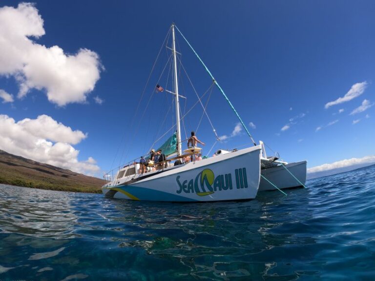 From Kaanapali Beach: West Maui Half-Day Snorkel Adventure
