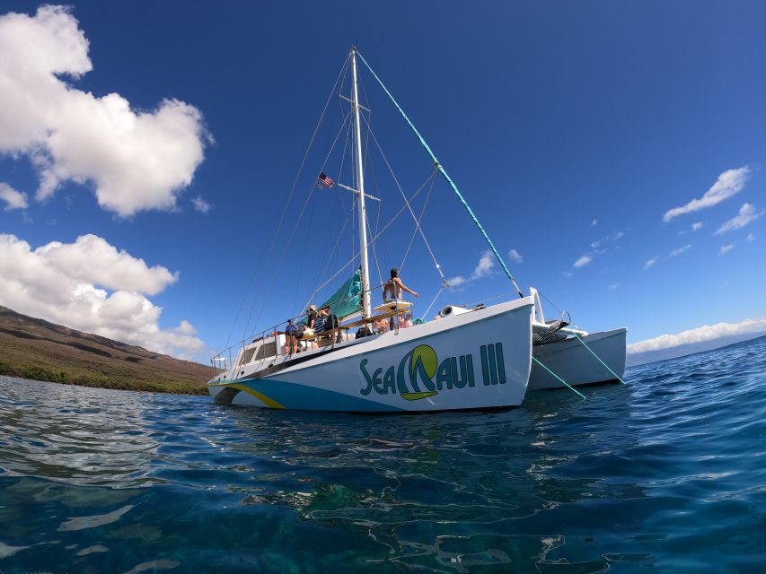 From Kaanapali Beach: West Maui Half-Day Snorkel Adventure - Activity Details