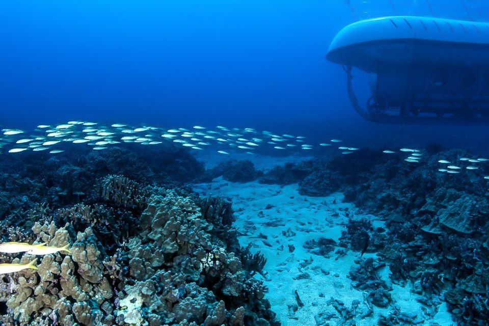 From Kona: Big Island Underwater Submarine Adventure - Sum Up