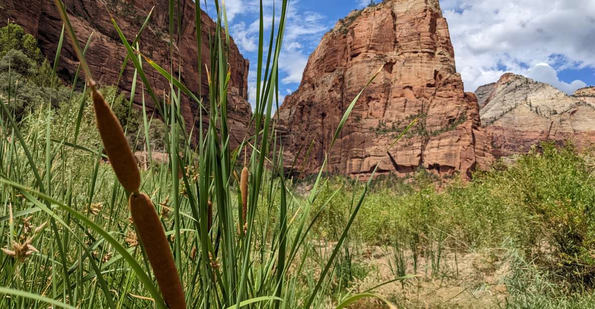 From Las Vegas: Zion National Park Small Group Adventure - Tour Provider Details