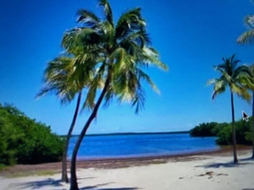 From Miami: Day Trip to Key Largo With Optional Activities - Full Trip Description