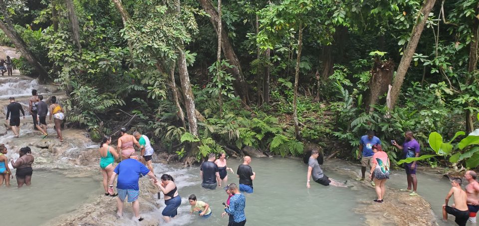 From Montego Bay: Dunn's River Falls Experience - Important Information