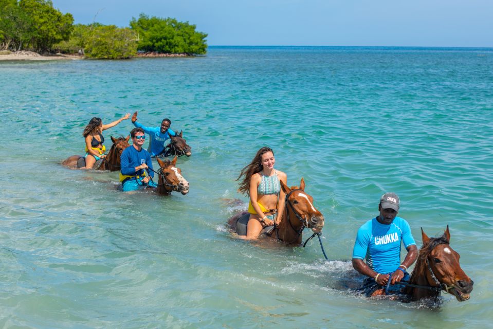 From Montego Bay or Negril: Chukka Horseback Ride and Swim - Experience Highlights