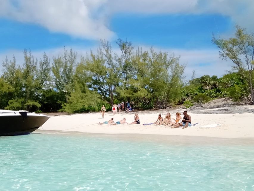 From Nassau: Exuma Iguanas, Sharks & Swimming Pigs Day Tour - Customer Reviews