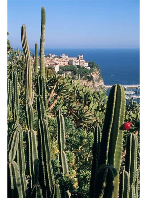 From Nice: Day Tour of Eze, Monaco and Monte-Carlo - Booking Information