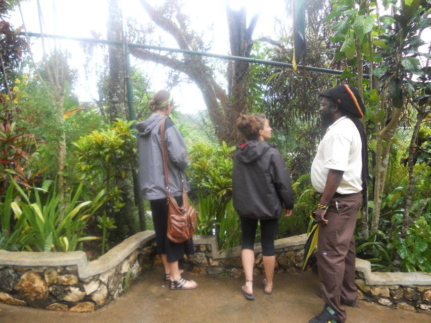 From Ocho Rios: Bob Marley & Dunn's River Falls 6/7Hour Tour - Customer Reviews and Testimonials