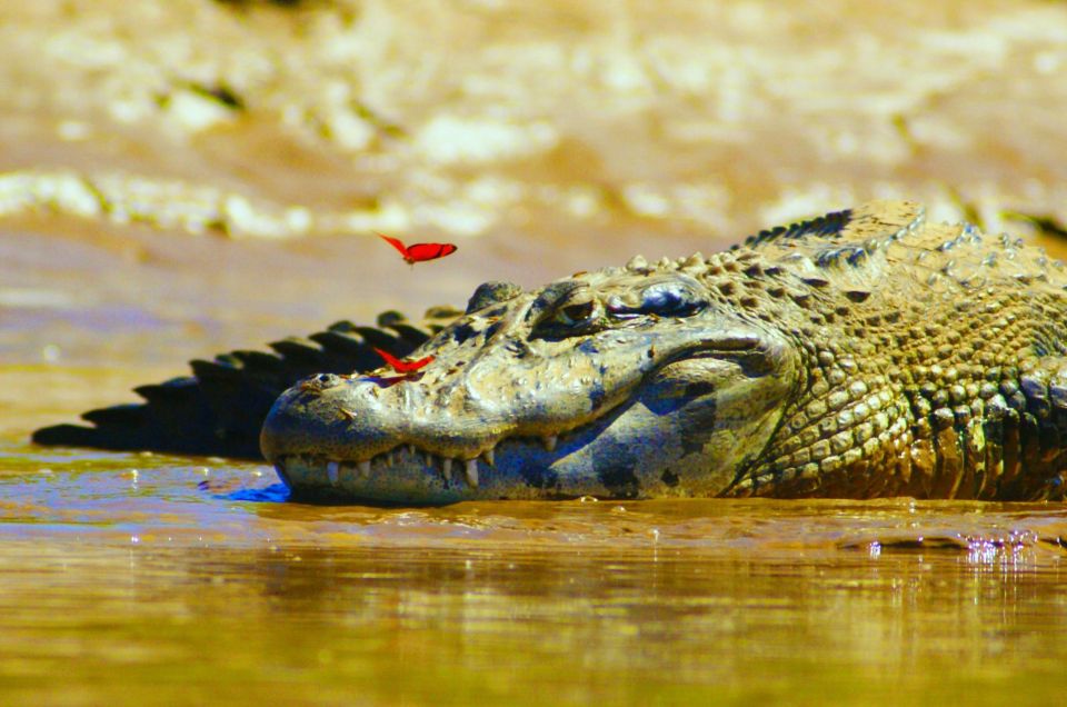 From Puerto Maldonado to Tambopata for 4 Days and 3 Nights - Inclusions