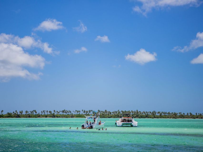 From Punta Cana: Saona Island Private Guided Catamaran Tour - Participants Suitability and Restrictions