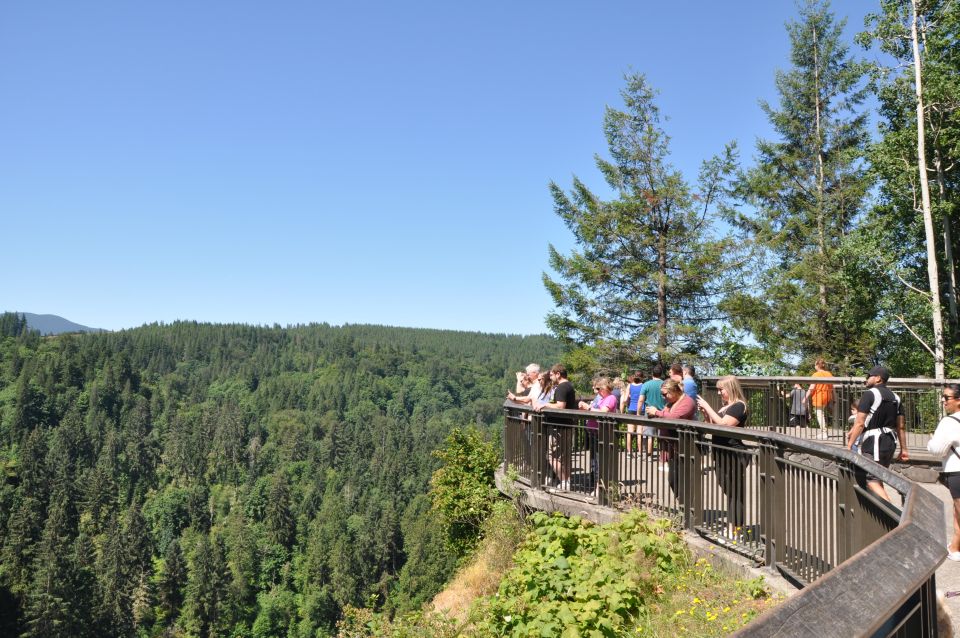 From Seattle: Snoqualmie Falls and Wineries Tour W/ Transfer - Important Information
