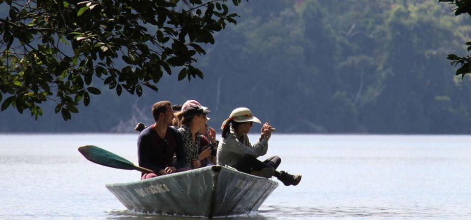 From Tambopata Photography Tour - 8 Days - Day 3: Chestnut Groves Exploration