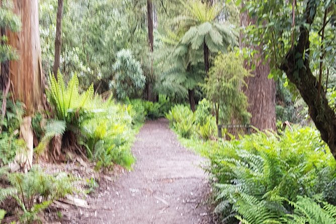 Full-Day Dandenong Ranges Tour With Pickup From Melbourne - Contact & Support Details