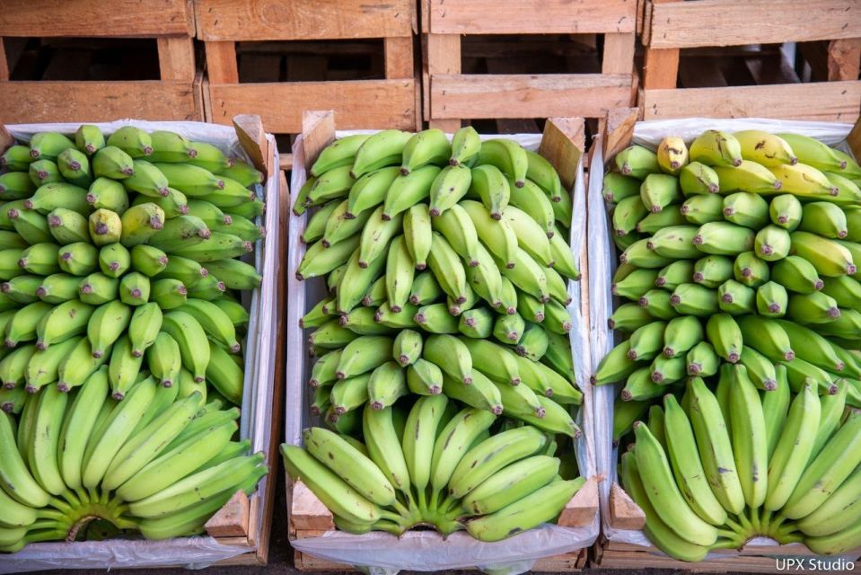 Gastronomic Tour at the Municipal Market of Rio De Janeiro - Market Exploration