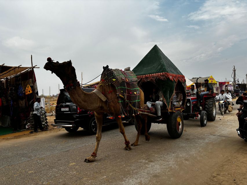 Golden Triangle Tour Pushkar & Jodhpur By Car 7 Nights 8 Day - Jaipur Pink City Tour