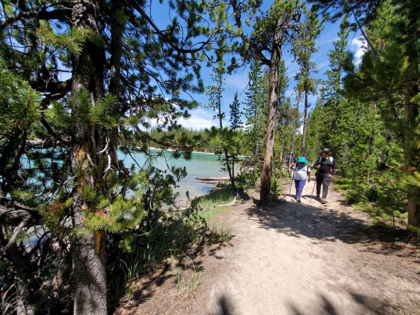 Grand Canyon of the Yellowstone: Loop Hike With Lunch - Experience Highlights