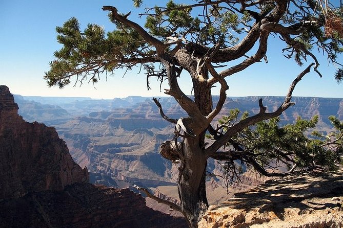 Grand Canyon South Rim Day Trip From Flagstaff - Customer Reviews