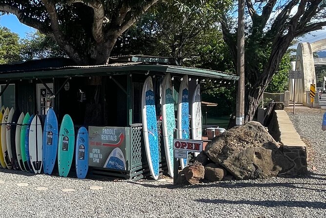 Haleiwa River Paddle Board Rental With Blue Planet Adventure Co. - Tour Highlights