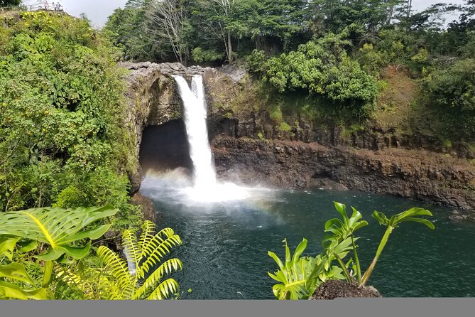 Hawaiis Volcanoes National Park From Hilo Only - Visitor Highlights and Feedback