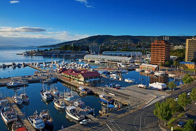 Hobart Shore Excursion: Small Group Mount Wellington 3-Hour Bike Tour - Booking Confirmation and Information