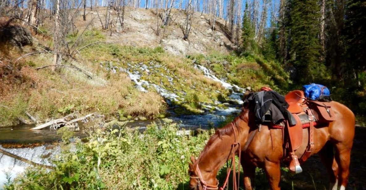 Jackson Hole: Dinner Cookout & Bridger-Teton Horseback Ride - Customer Reviews