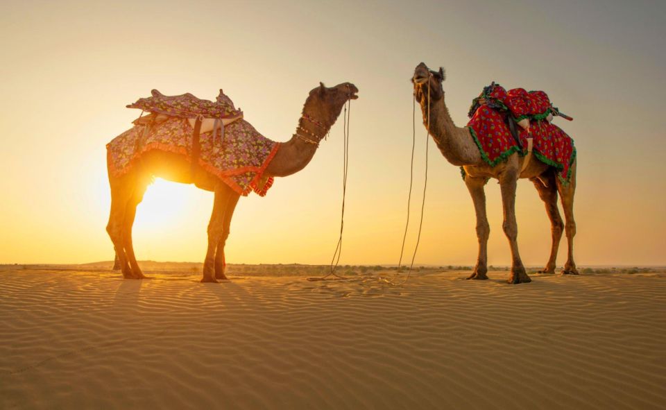 Jaisalmer: 2 Days Adventure in the Thar Desert - Day 2: Sunrise in the Desert