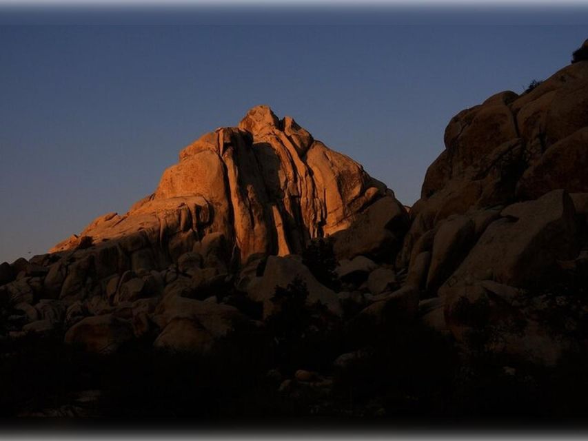 Joshua Tree: Half-Day Private Hike of the National Park - Reviews and Feedback